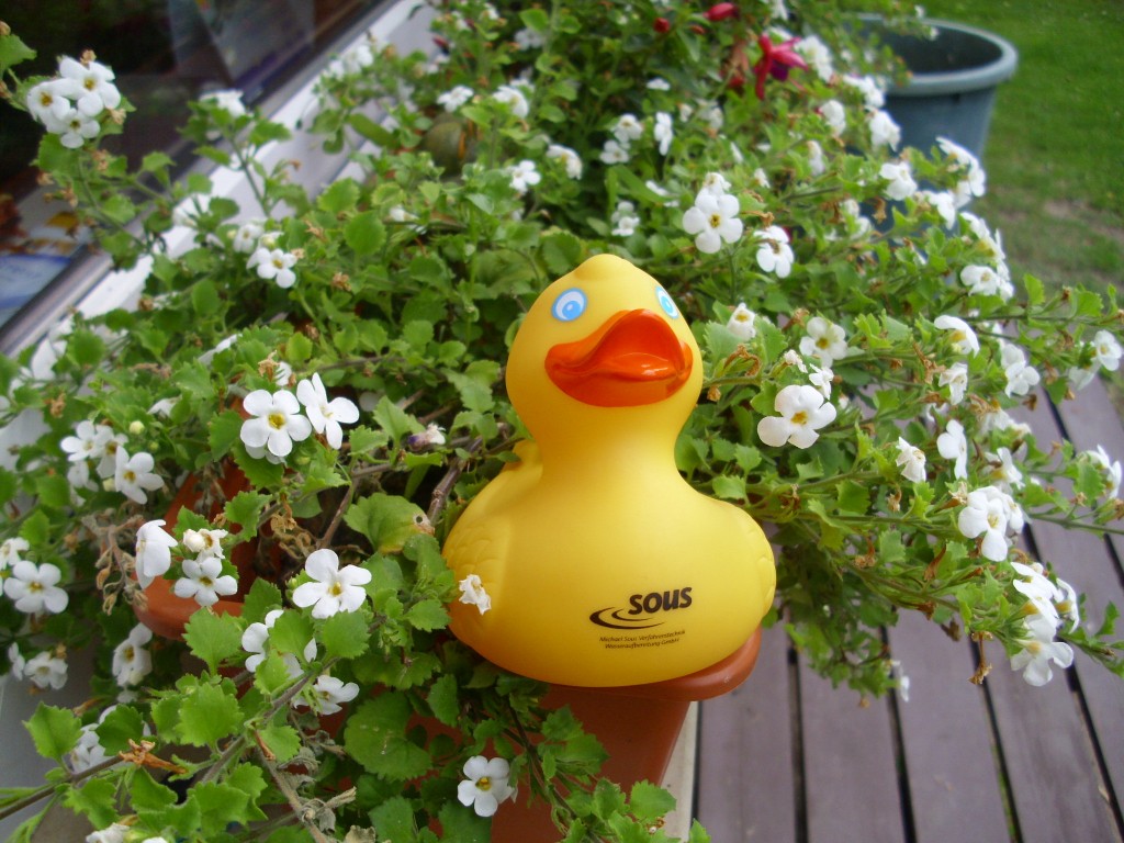 Die Geschichte der Ente